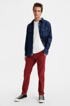 Pantalon Velours LEVIS XX CHINO STANDARD Syrah 11 Pantalon Velours LEVIS XX CHINO STANDARD Syrah -Hommes Mode Vêtements Magasin levis 17196 00 94 1