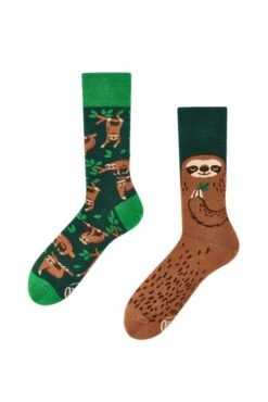 Chaussettes MANY MORNINGS SLOTH LIFE Vert / Marron
