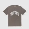 Tee Shirt TEDDY SMITH Faded Kaki